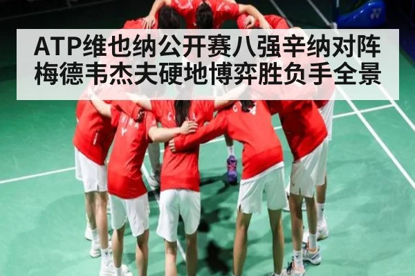 ATP维也纳公开赛八强辛纳对阵梅德韦杰夫硬地博弈胜负手全景 - www.c7c7.app